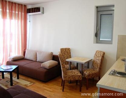 Stanovi Aleksic, , private accommodation in city Budva, Montenegro